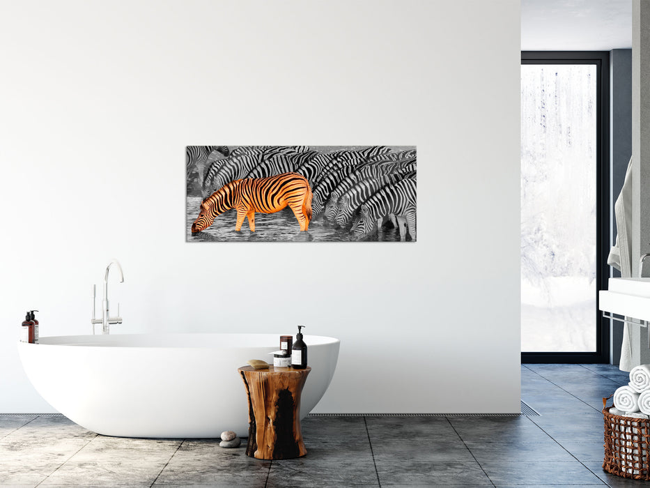 Zebras an der Wasserstelle, Glasbild Panorama