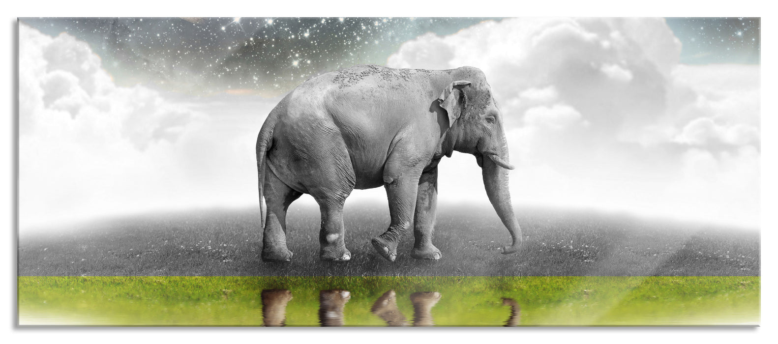 Pixxprint Traumhafter Elefant auf Wiese, Glasbild Panorama