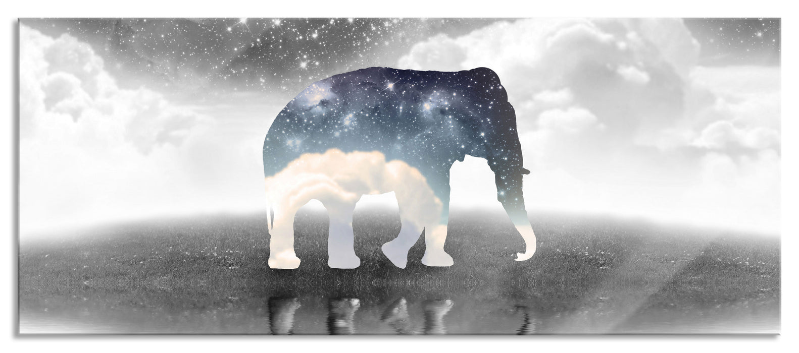 Einsamer Elefant, Glasbild Panorama