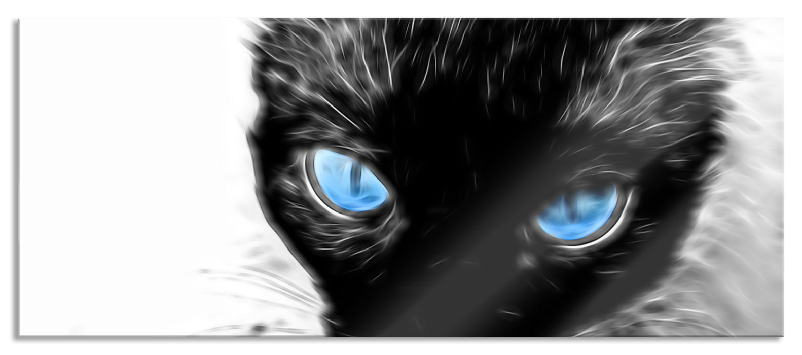 Blaue Augen schwarze Katze new Art, Glasbild Panorama