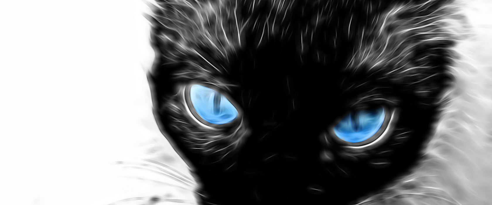 Blaue Augen schwarze Katze new Art, Glasbild Panorama