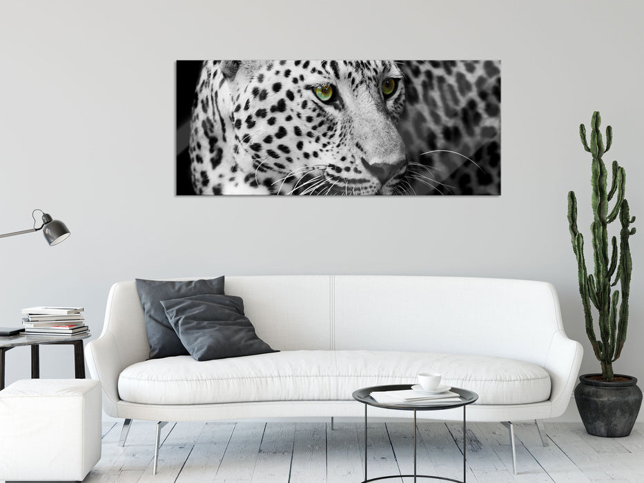 Dark Leopard mit grünen Augen, Glasbild Panorama