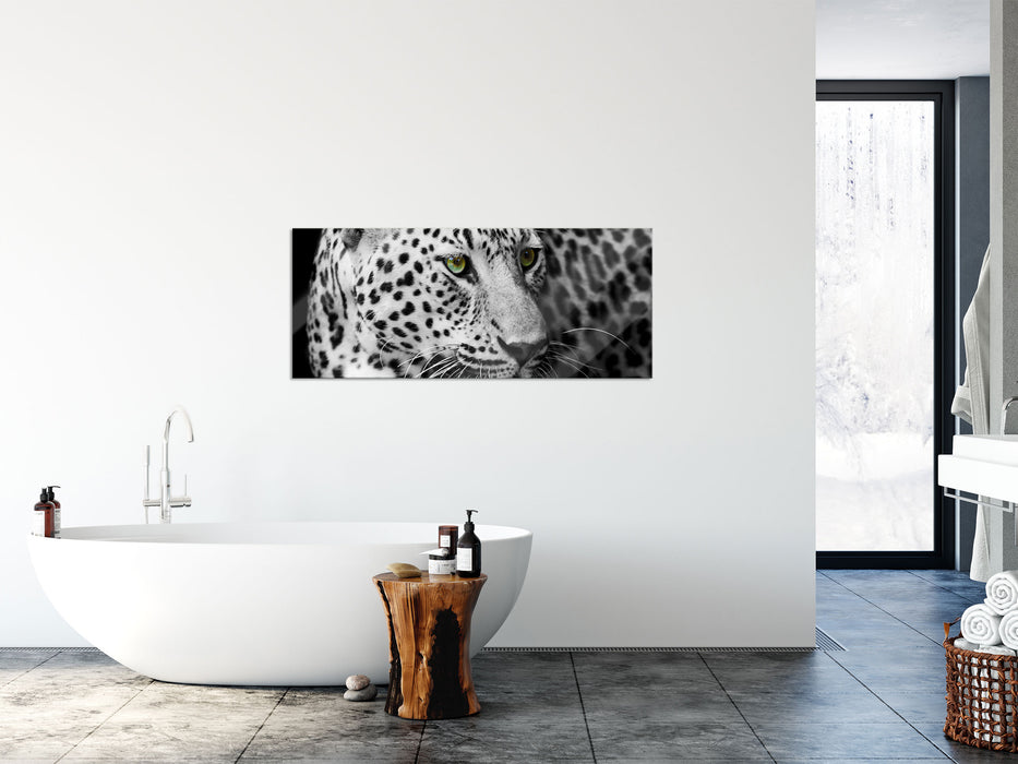 Dark Leopard mit grünen Augen, Glasbild Panorama