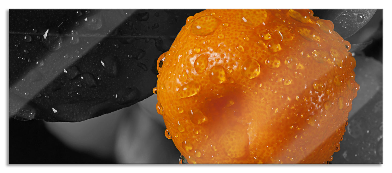 Pixxprint Orange mit Wassertropfen, Glasbild Panorama