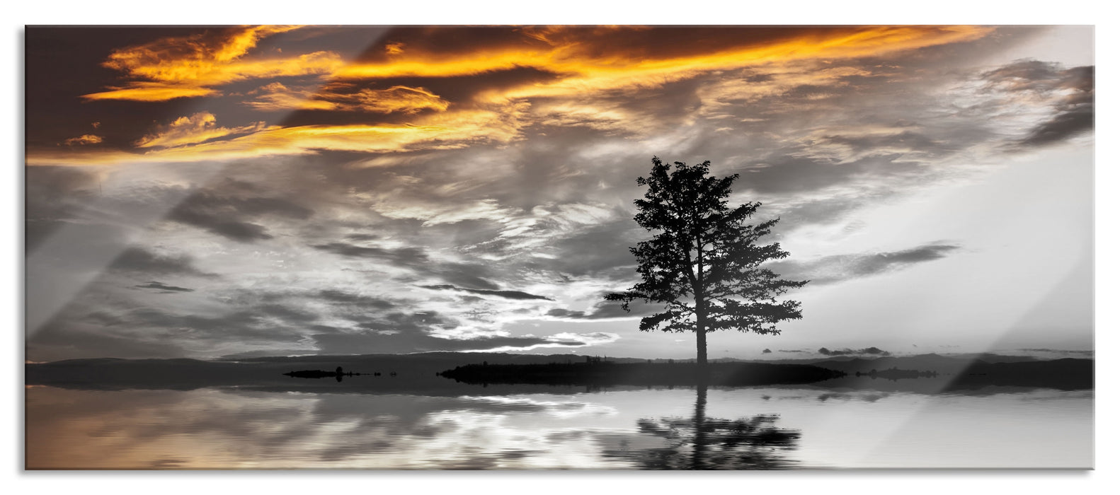Pixxprint einsamer Baum auf Wiese, Glasbild Panorama