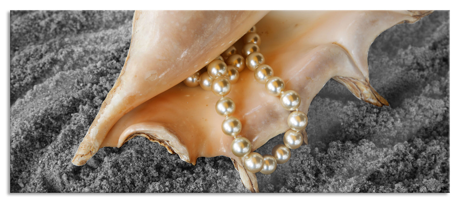 Pixxprint Muschel Perlenkette, Glasbild Panorama