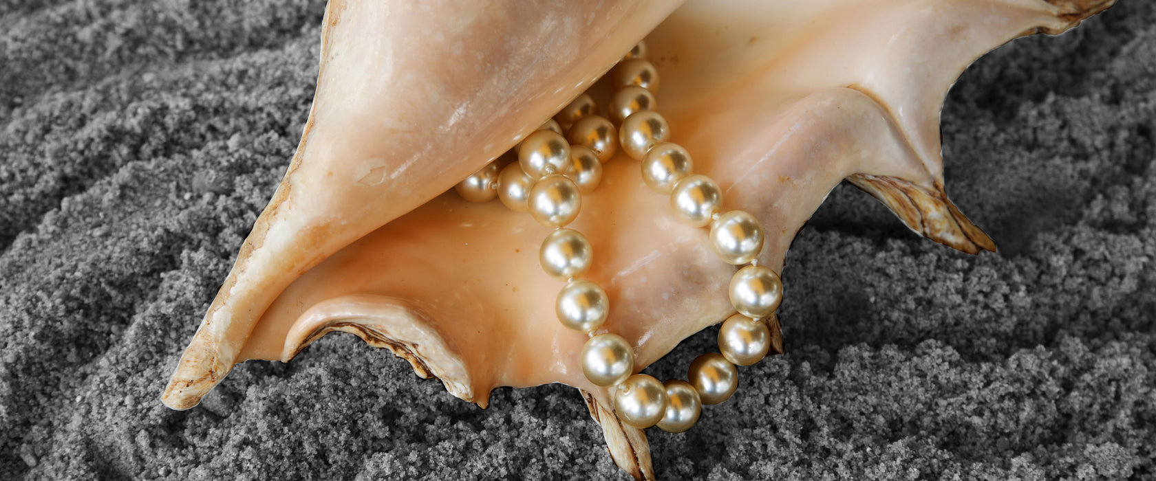 Muschel Perlenkette, Glasbild Panorama