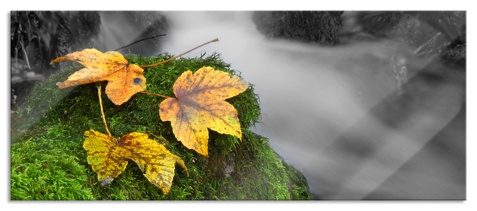 Pixxprint Waldbach, Glasbild Panorama