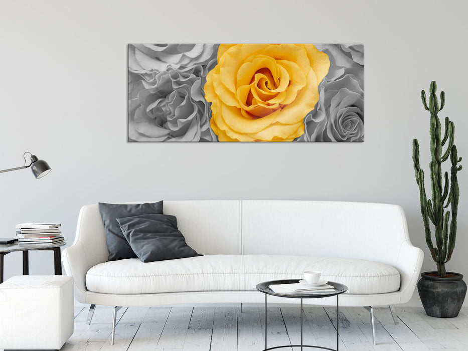 gelbe Rose im Rosenmeer, Glasbild Panorama