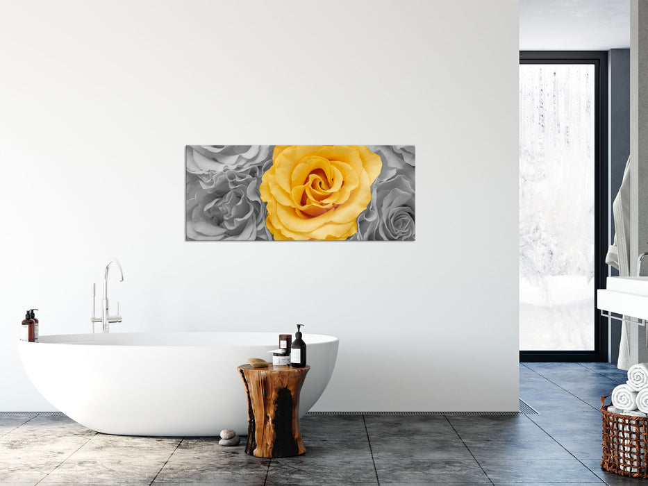 gelbe Rose im Rosenmeer, Glasbild Panorama