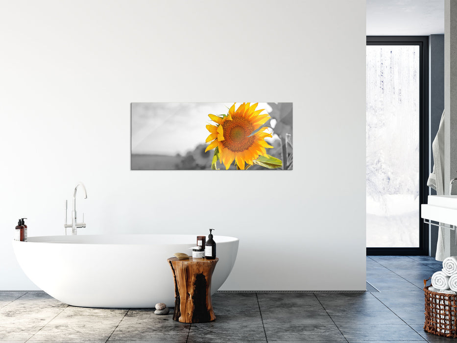 Nahaufnahme einer Sonnenblume, Glasbild Panorama