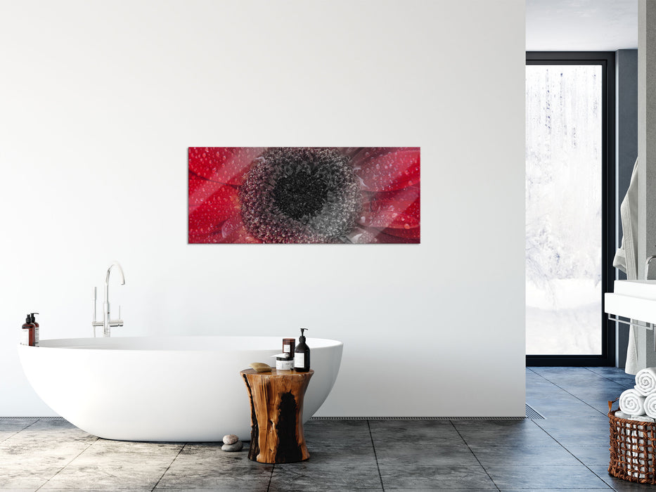 Rote Gerbera mit Wassertropfen, Glasbild Panorama