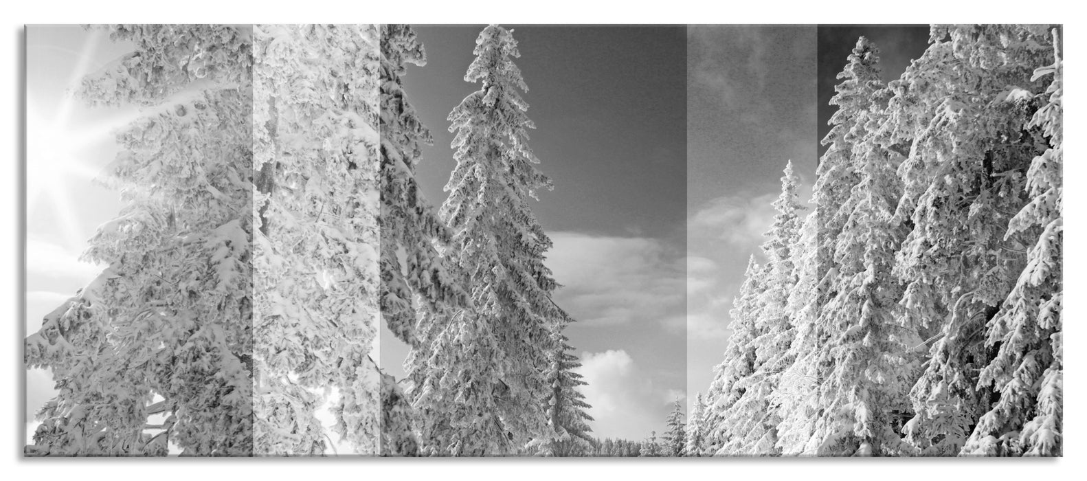 Winterlandschaft mit Bäumen, Glasbild Panorama