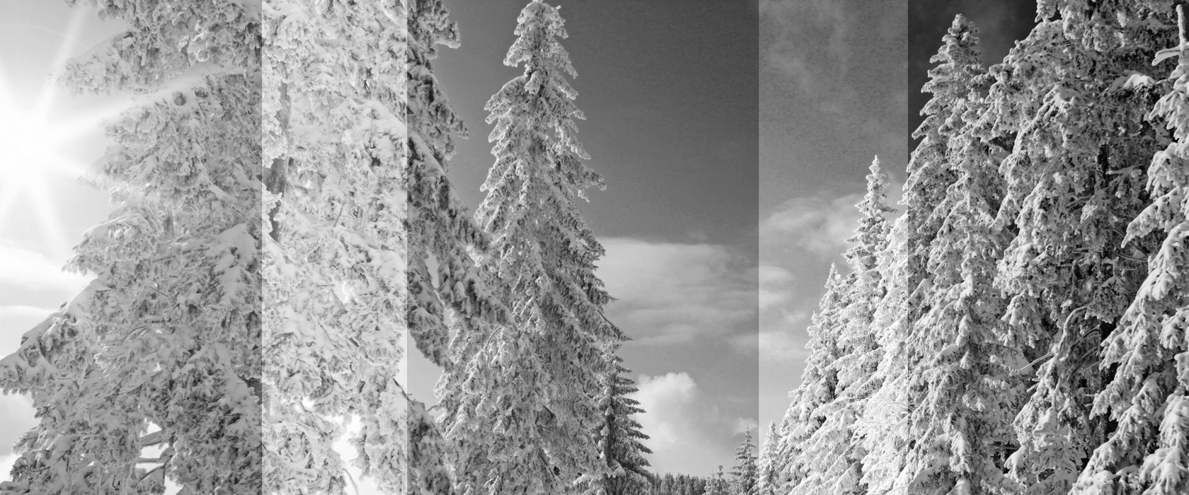 Winterlandschaft mit Bäumen, Glasbild Panorama