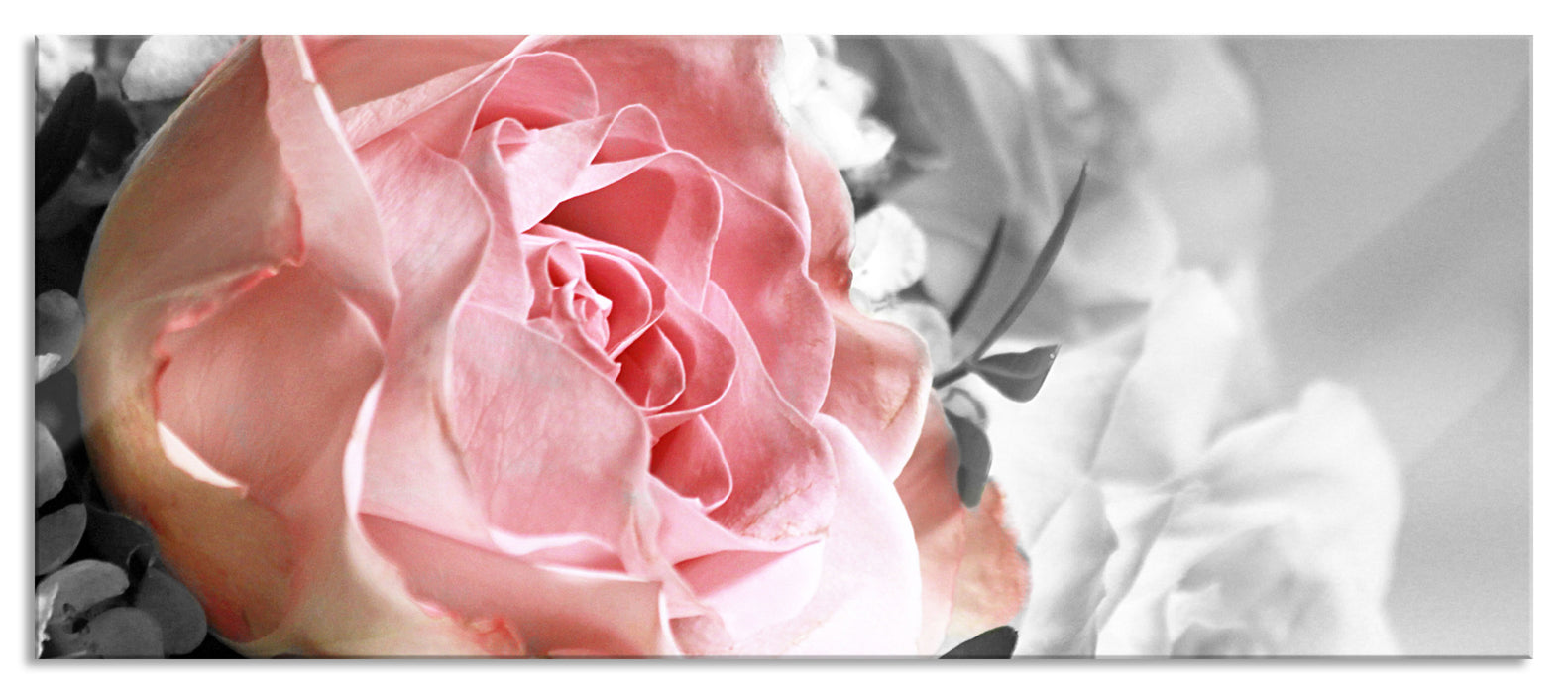 Pixxprint Wunderschöner Pfingstrosenstrauß, Glasbild Panorama