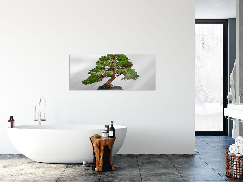 Bonsai Baum, Glasbild Panorama