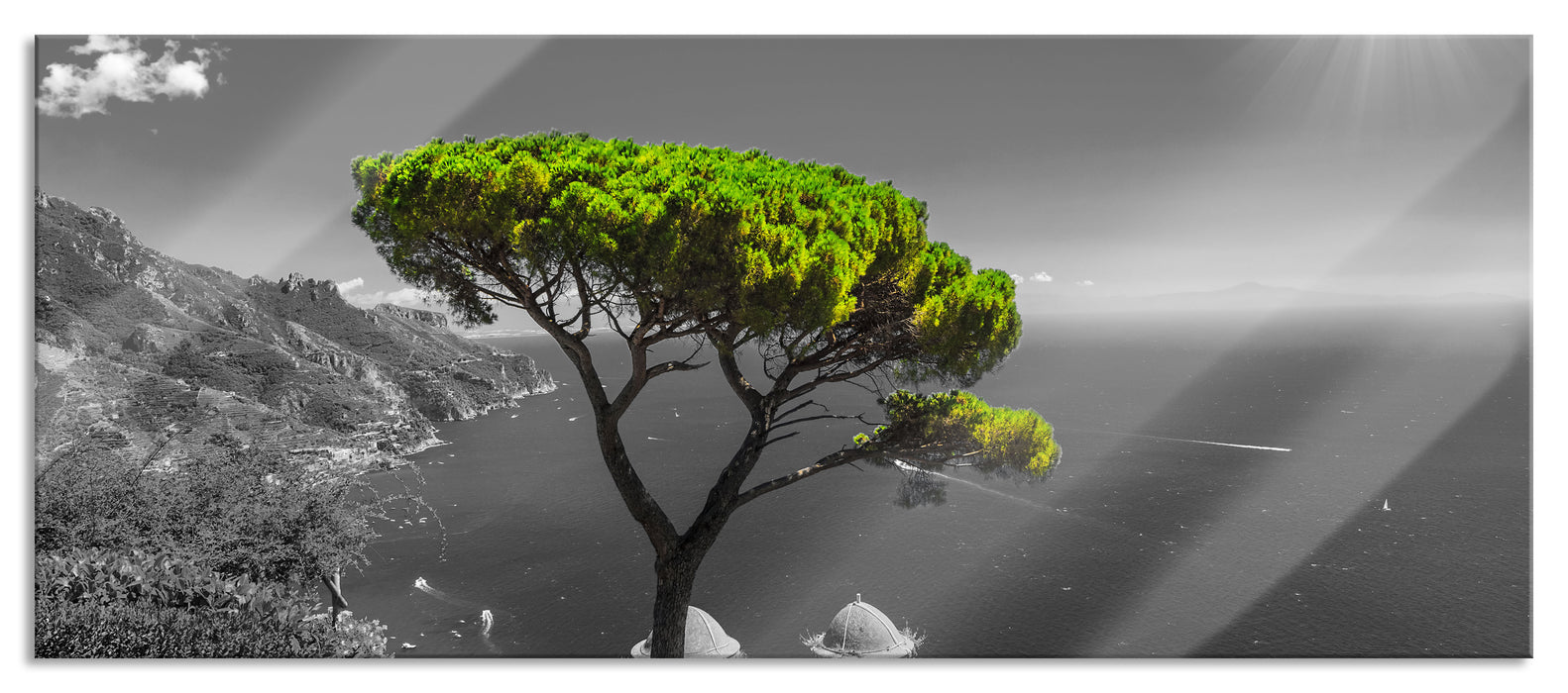 Pixxprint Baum am Mittelmeer, Glasbild Panorama