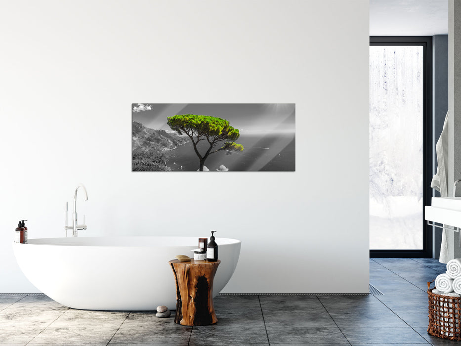 Baum am Mittelmeer, Glasbild Panorama