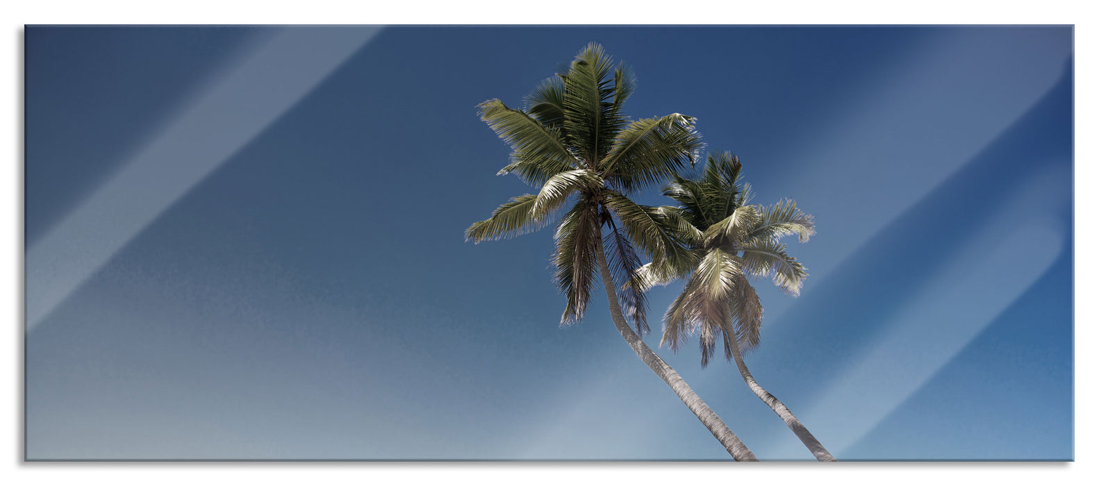 zwei Palmen ragen über das Wasser, Glasbild Panorama