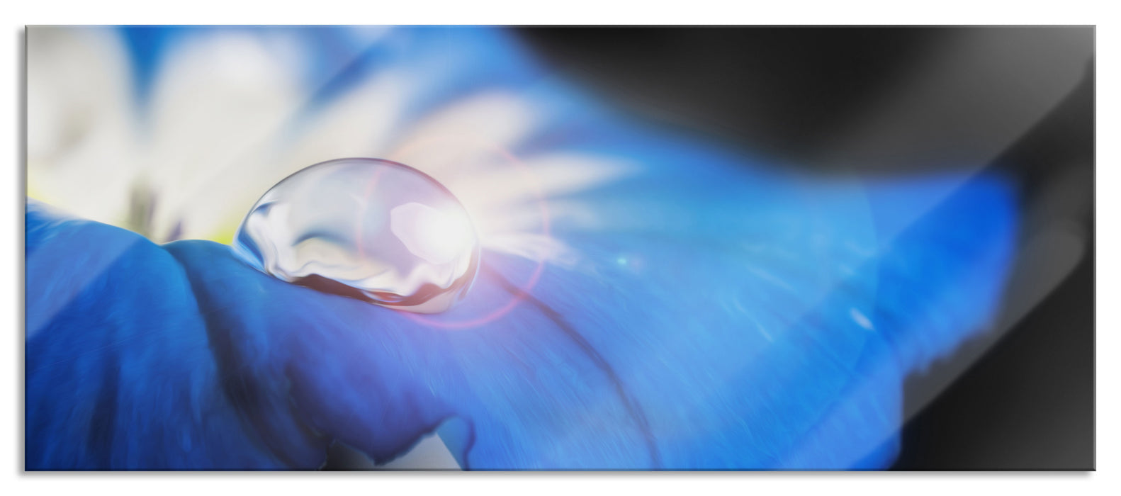 Pixxprint Wassertropfen auf Blüte, Glasbild Panorama
