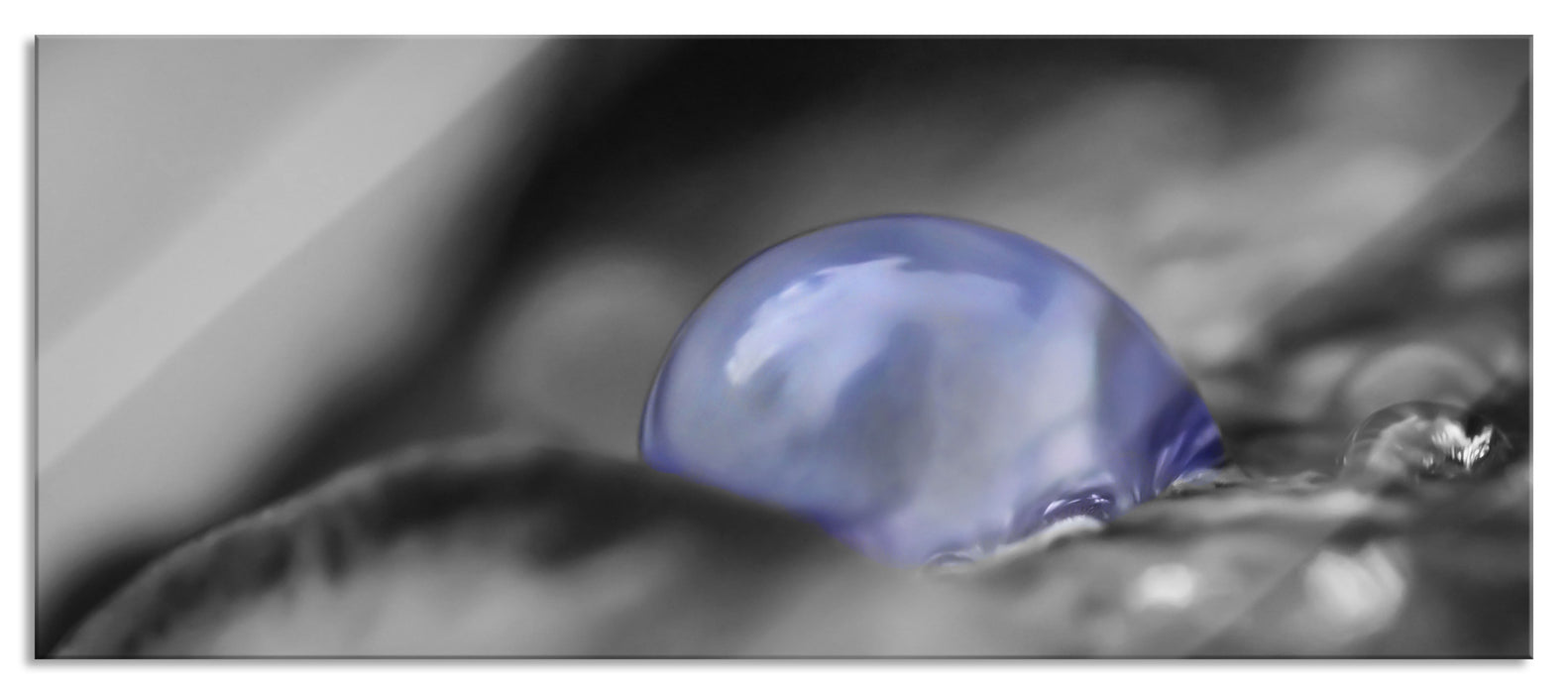 Pixxprint blauer Wassertropfen auf Blatt, Glasbild Panorama