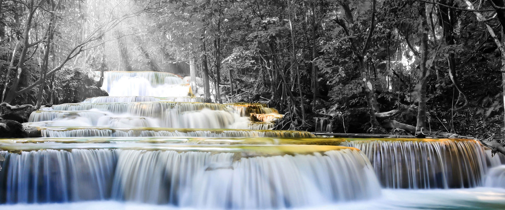 Wilder Bach im Urwald, Glasbild Panorama