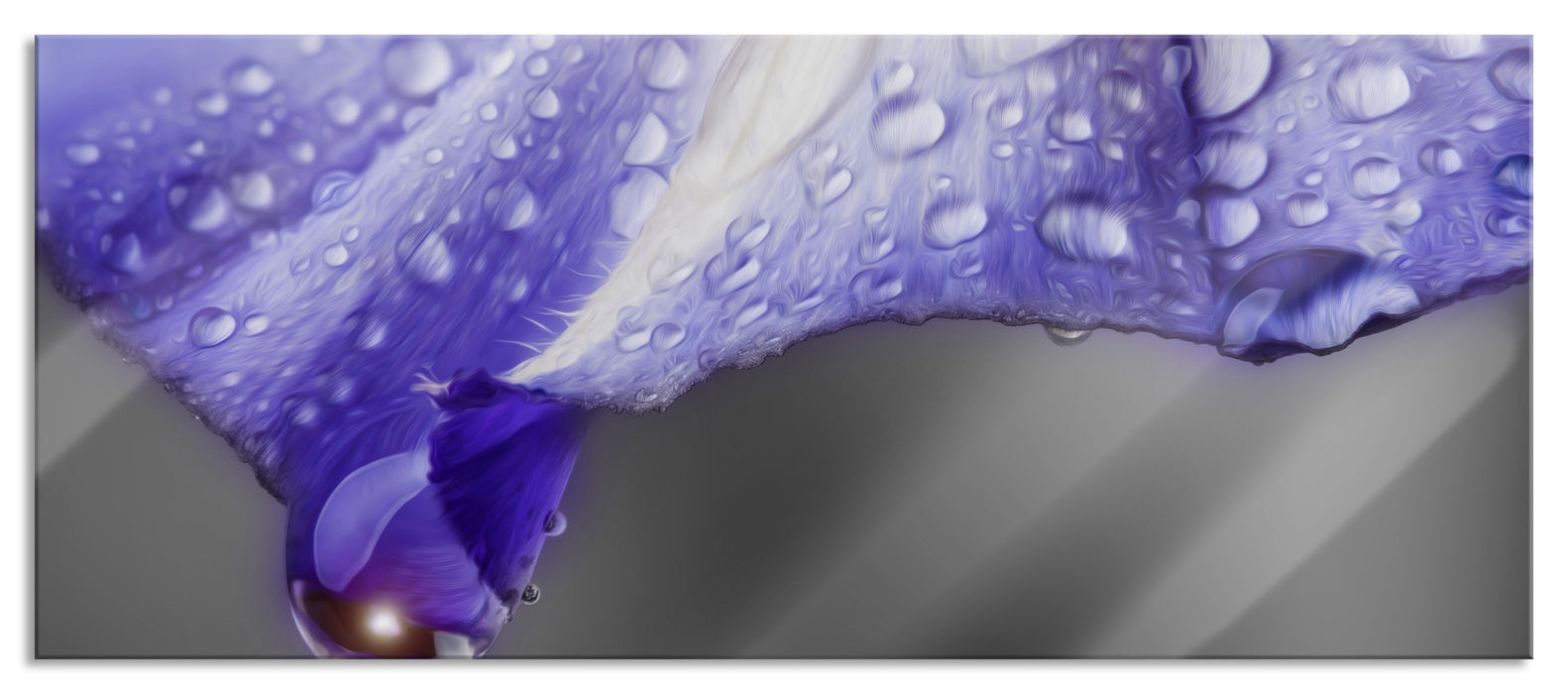 Pixxprint Blüte mit Regentropfen, Glasbild Panorama