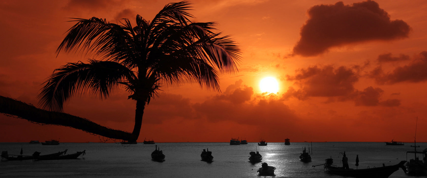 Sonnenuntergang mit Palmen, Glasbild Panorama