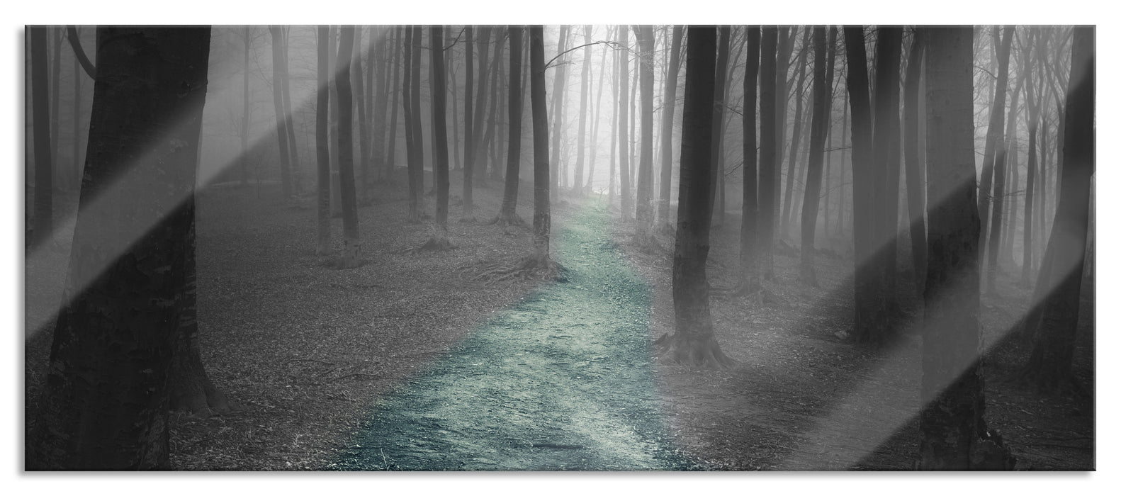Einsamer Weg im Wald, Glasbild Panorama