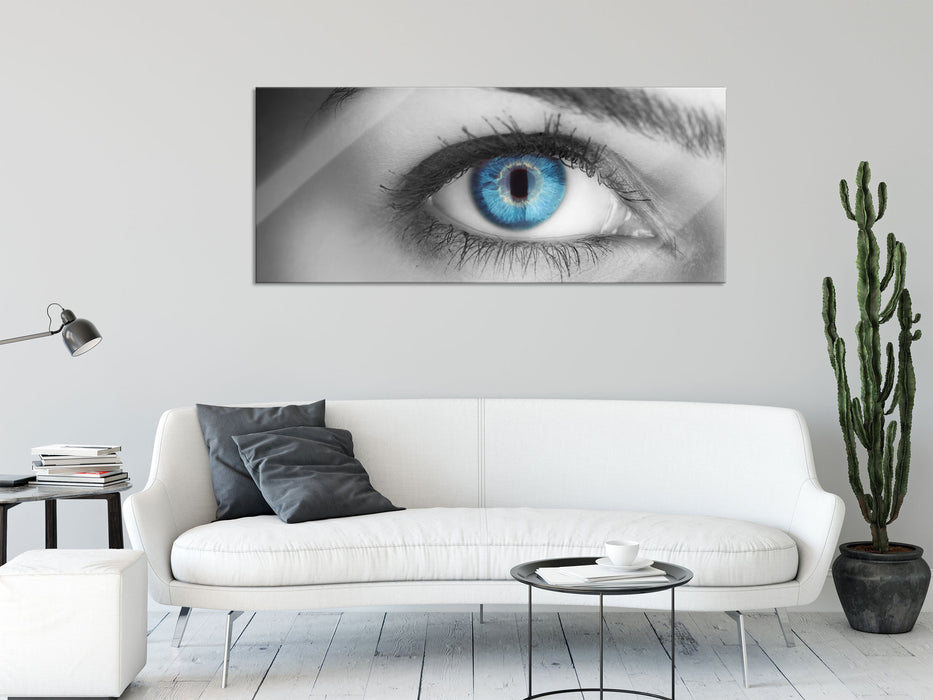 wunderschöne blaue Iris, Glasbild Panorama