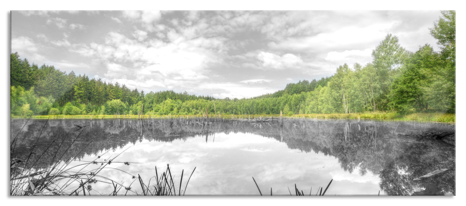 traumhafter See in grünem Wald, Glasbild Panorama