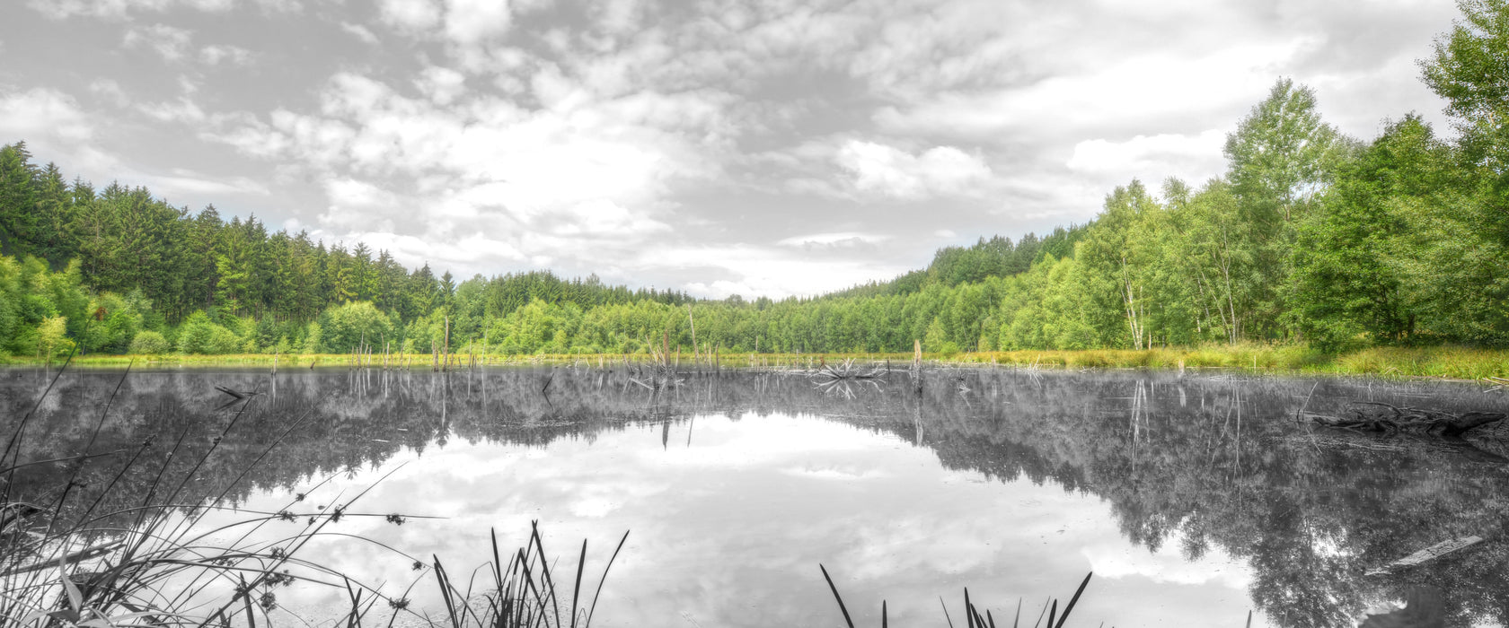 traumhafter See in grünem Wald, Glasbild Panorama