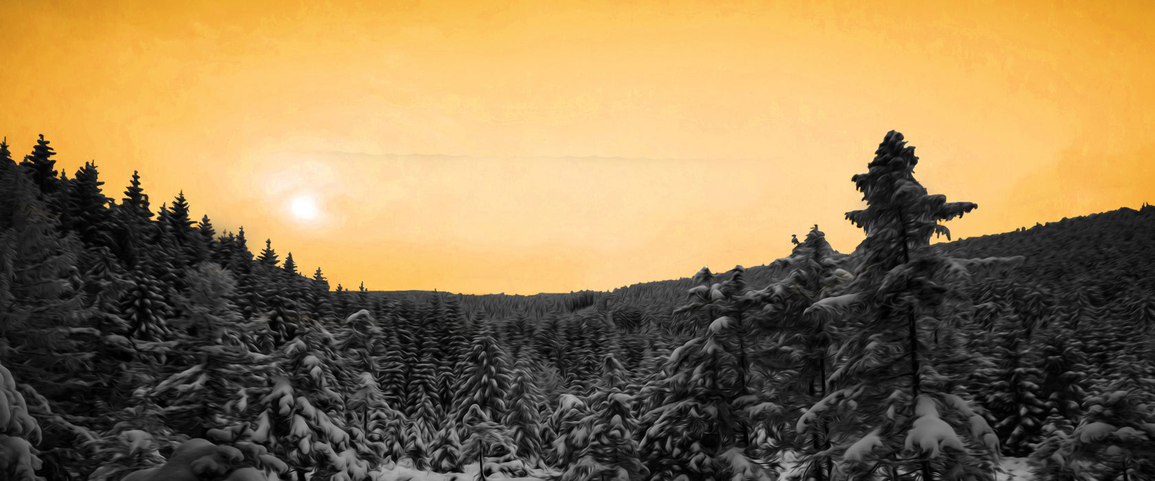 Wald im verschneiten Winter, Glasbild Panorama