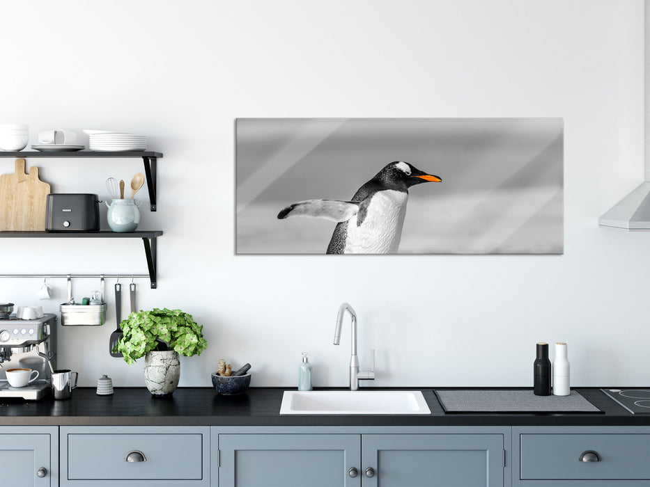 watschelnder Pinguin am Strand, Glasbild Panorama