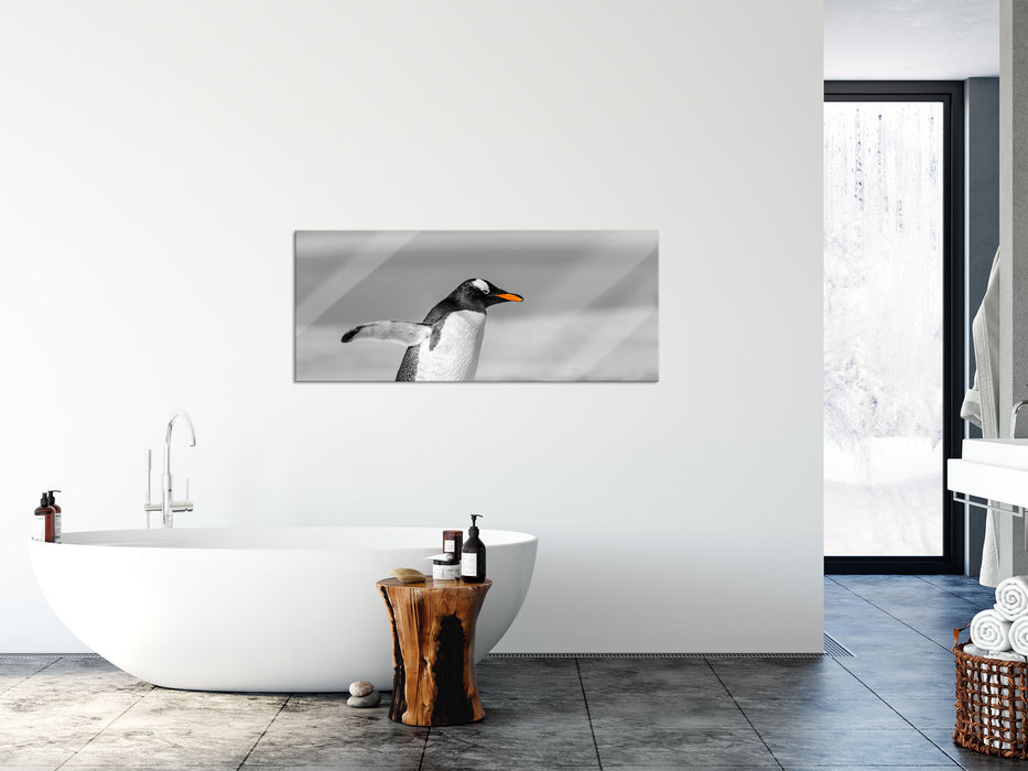 watschelnder Pinguin am Strand, Glasbild Panorama