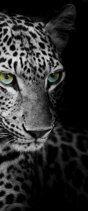 Leopardenkopf, Glasbild Panorama