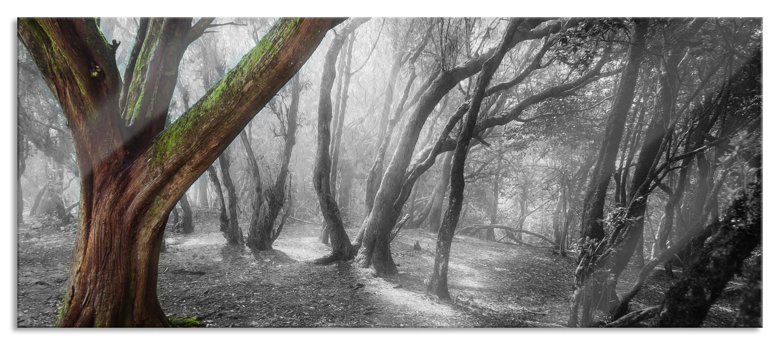 einsamer Baum in tristem Grau, Glasbild Panorama