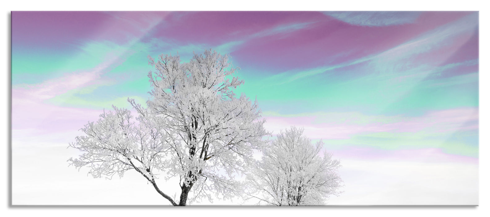 Pixxprint Baum in Winterlandschaft, Glasbild Panorama