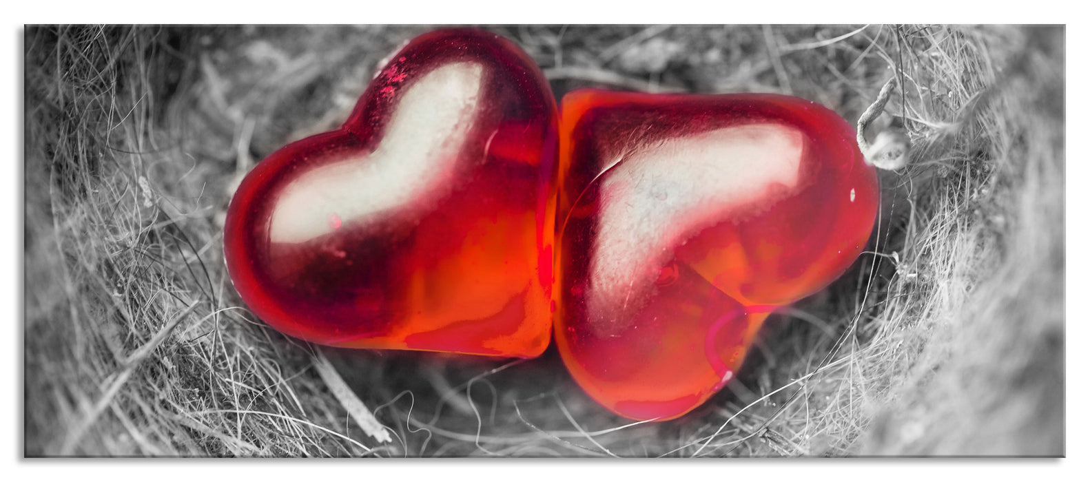 Pixxprint zwei Herzen in kleinem Nest, Glasbild Panorama