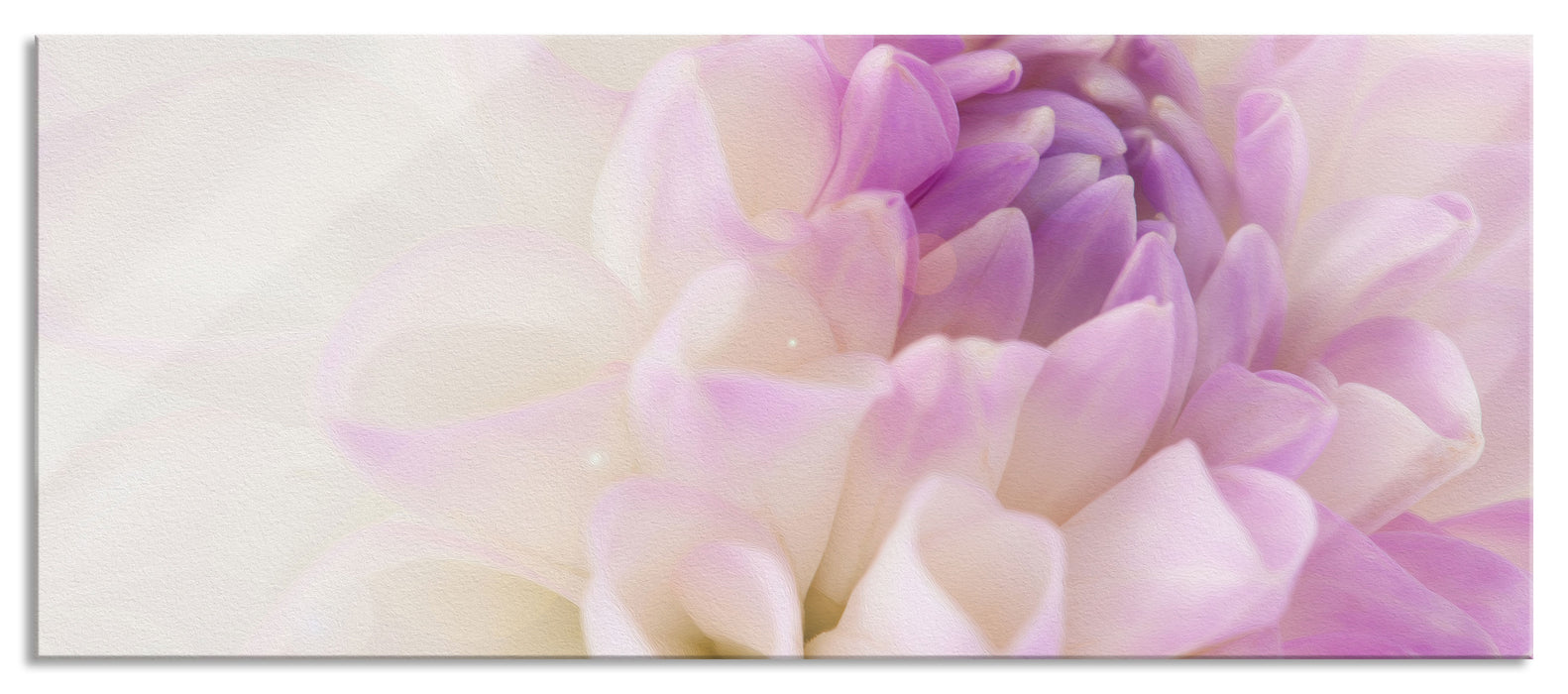 Pixxprint Blüte mit lila Blütenblätter, Glasbild Panorama