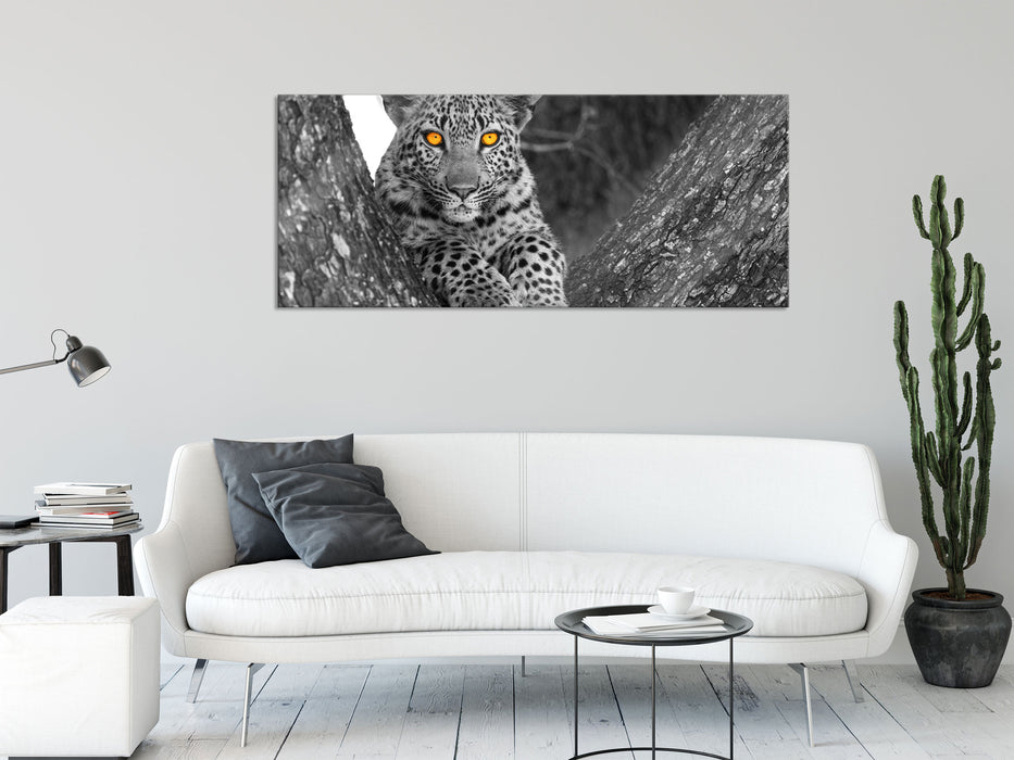 Leopardenjunges auf Baum, Glasbild Panorama