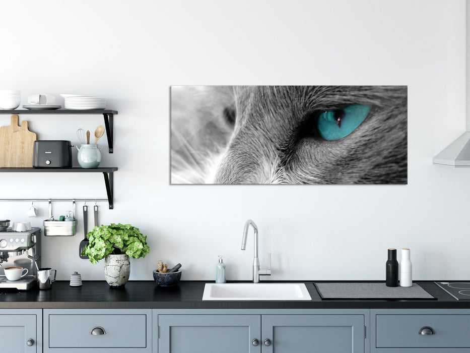 Katze mit Augen, Glasbild Panorama