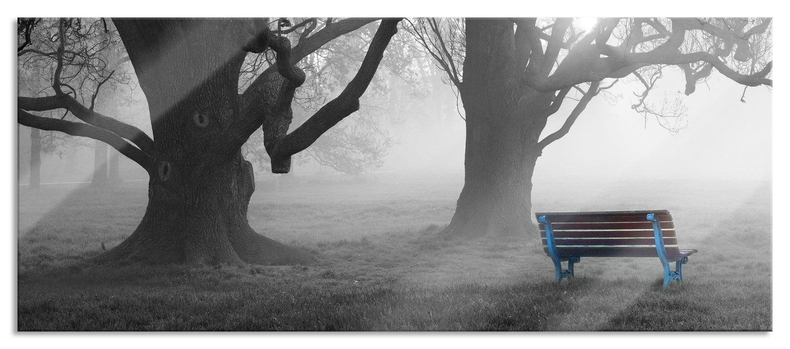 Einsame Bank im Nebel, Glasbild Panorama