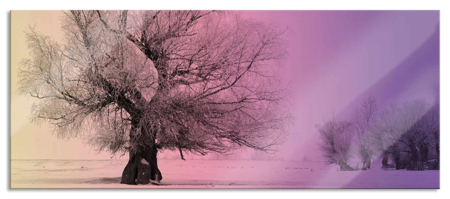 Pixxprint verschneite Bäume im Nebel, Glasbild Panorama