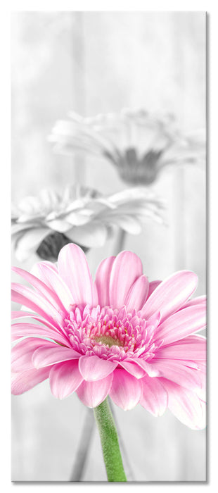 Pixxprint schöne Gerberas bei Tageslicht, Glasbild Panorama