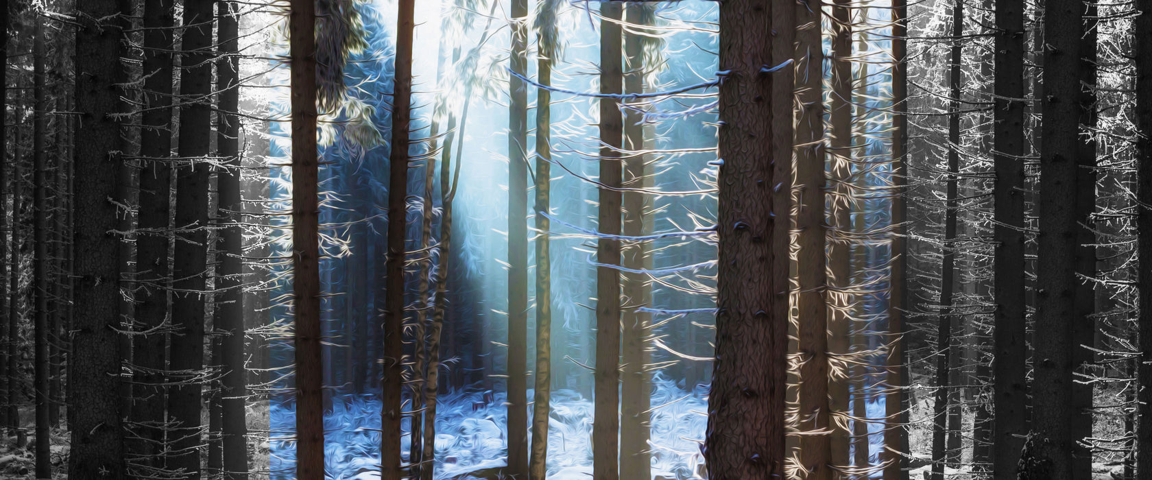 Sonne Winterwald, Glasbild Panorama