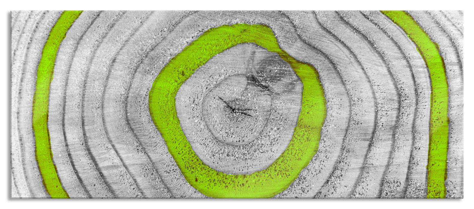 Pixxprint grüne Baumringe, Glasbild Panorama