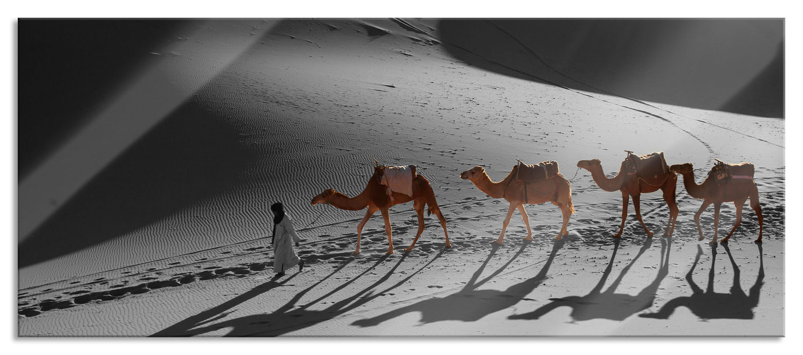 Pixxprint Kamelkarawane in der Sahara, Glasbild Panorama