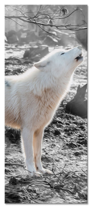 weißer jaulender Wolf im Wald, Glasbild Panorama