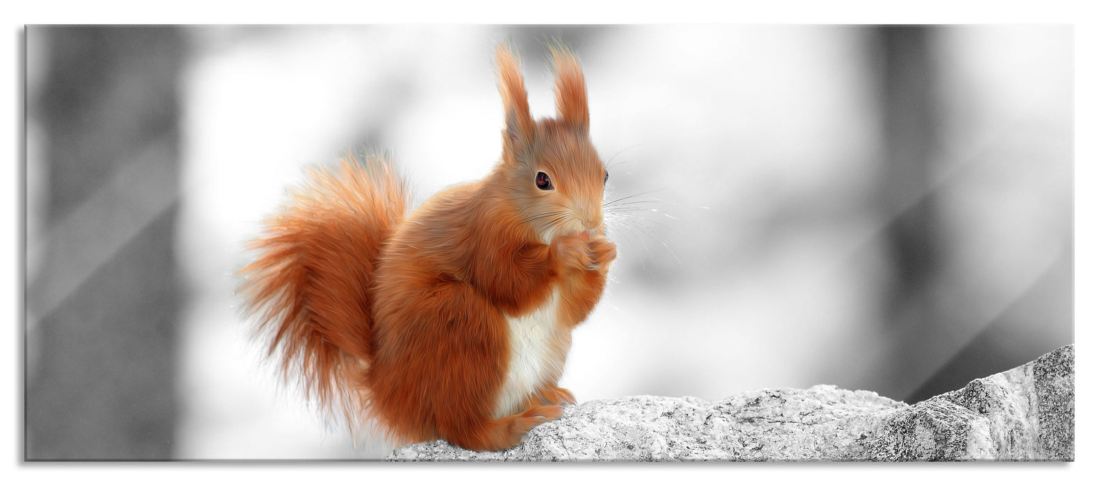 Pixxprint Eichhörnchen in verschneitem Wald, Glasbild Panorama